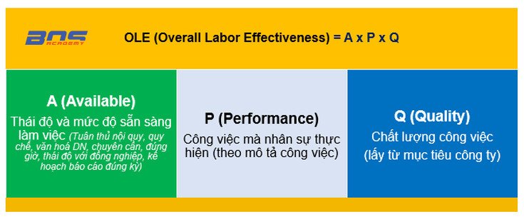OLE (Overall Labor Effectiveness) = A x P x Q OLE (Overall Labor Effectiveness) = A x P x Q