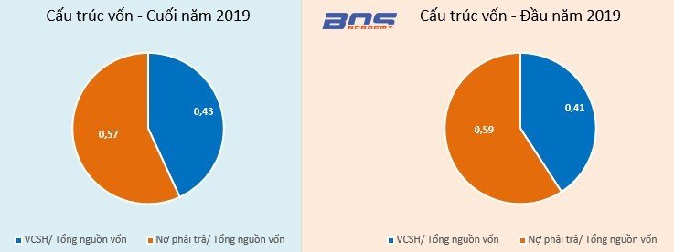 Cấu trúc vốn 2019